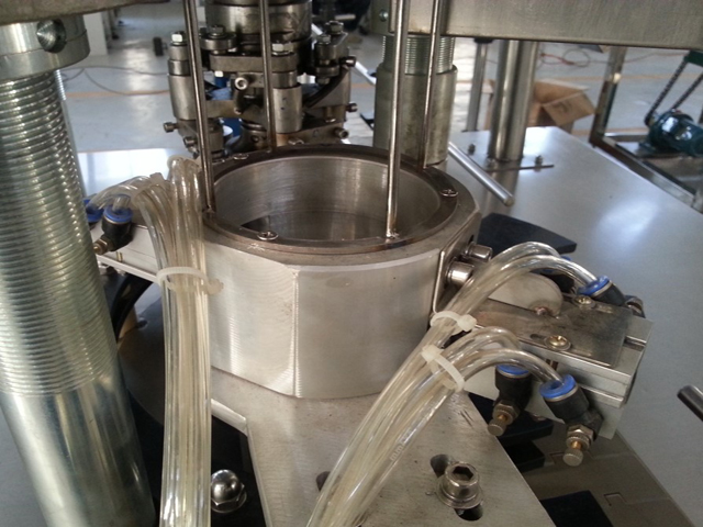 dangtelis galvutė.jpg