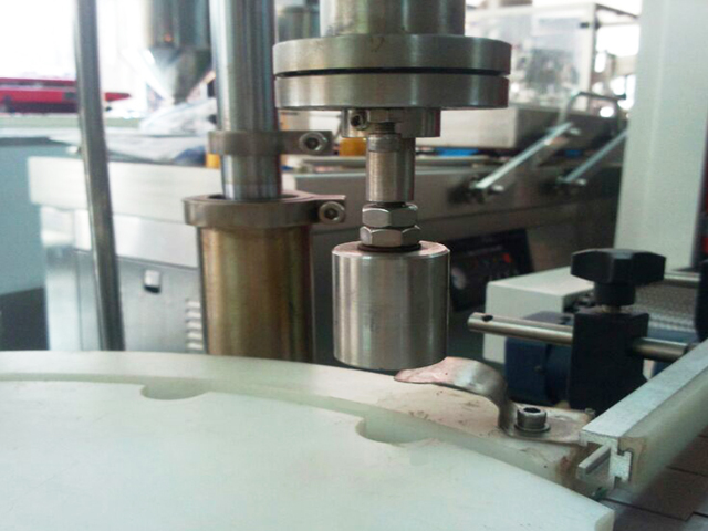 dangtelis galvutė.jpg