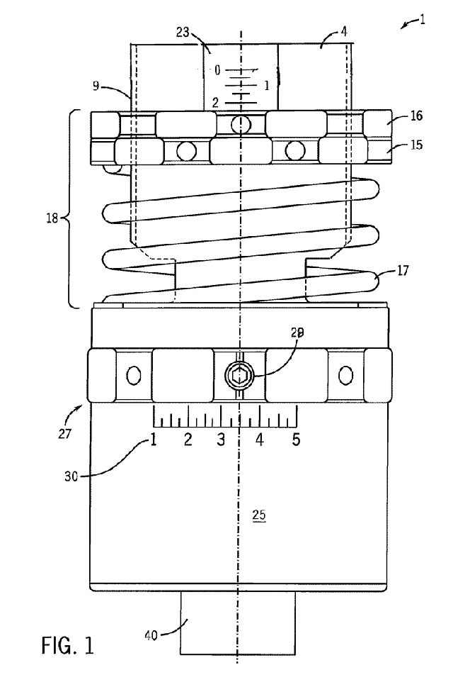 dangtelis galvutė.jpg